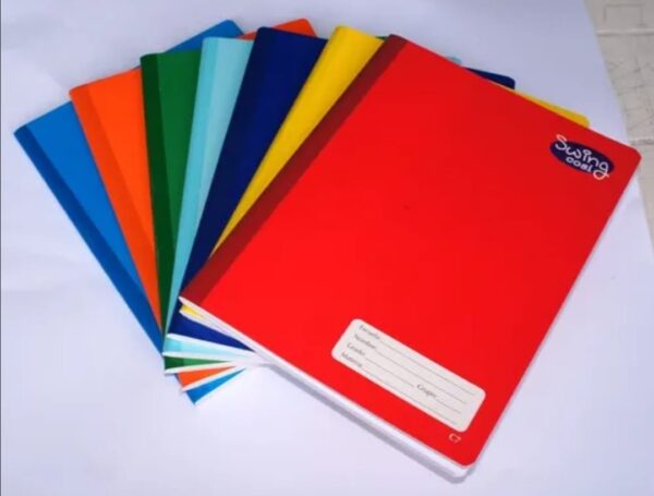 Cuaderno profesional cosido swing de dibujo con 100 hojas.
